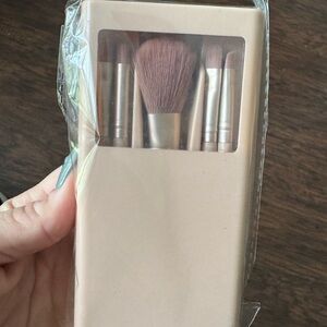 NWT Travel Brush Set In Hard Case